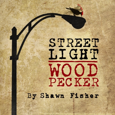 Streetlight Woodpecker