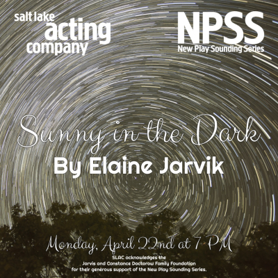 Sunny in the Dark by Elaine Jarvik