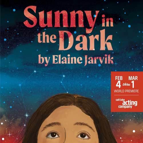 Announcing the Cast &amp; Creative Team for Sunny in the Dark by Elaine Jarvik