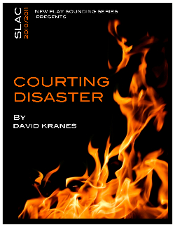 Courting Disaster web