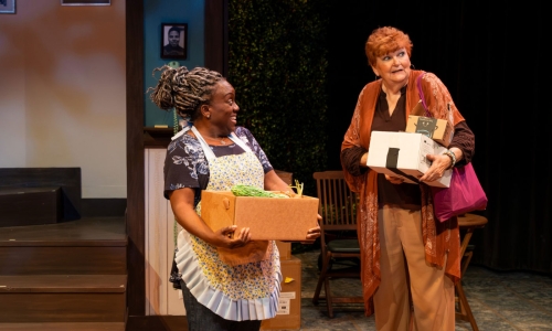 the-roommate-at-slac-dee-dee-darby-duffin-annette-wright-by-nick-fleming-13