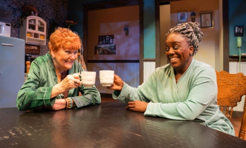 the-roommate-at-slac-dee-dee-darby-duffin-annette-wright-by-nick-fleming-4