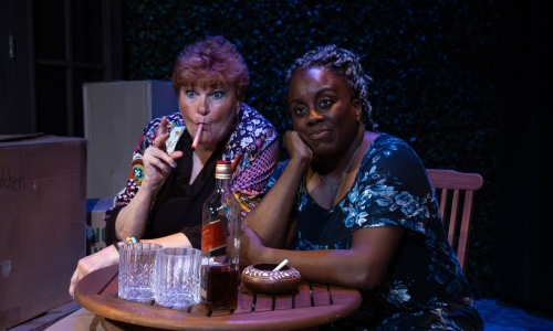 the-roommate-at-slac-dee-dee-darby-duffin-annette-wright-by-nick-fleming-8