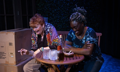 the-roommate-at-slac-dee-dee-darby-duffin-annette-wright-by-nick-fleming-9